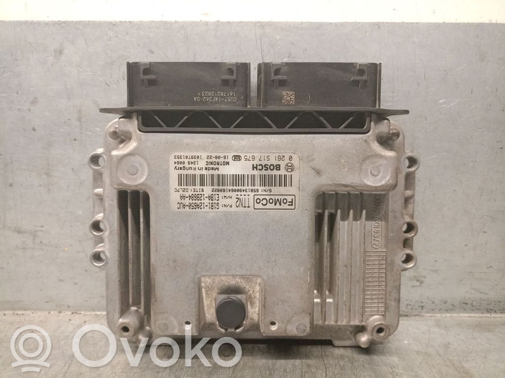 Ford Fiesta Engine control unit/module 
