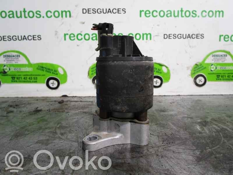 Daewoo Lanos Válvula EGR 