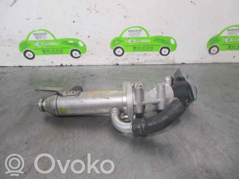 Válvula EGR   4R8Q9D475A