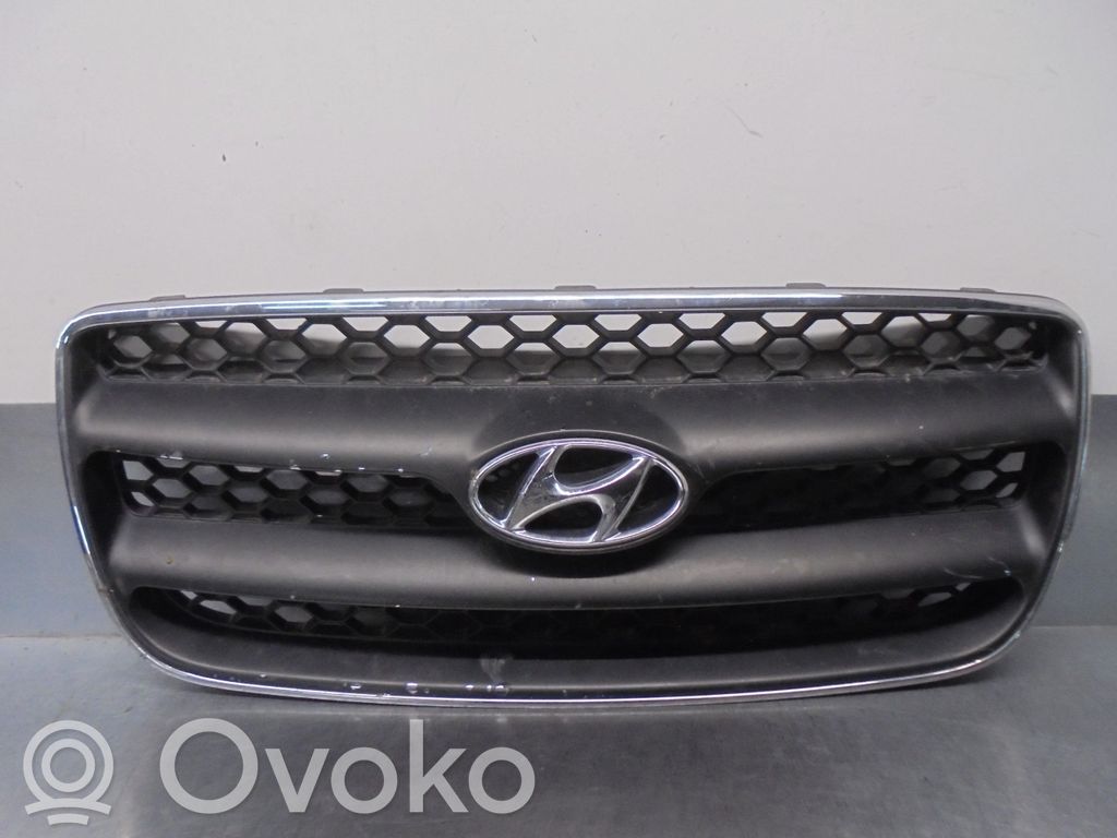 Hyundai Santa Fe Etusäleikkö 