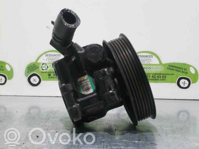 Electric power steering pump   HBDCY