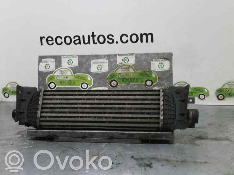 Ford Fiesta Intercooler radiator 