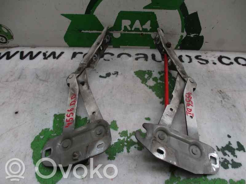 Citroen Jumpy Cerniere del vano motore/cofano