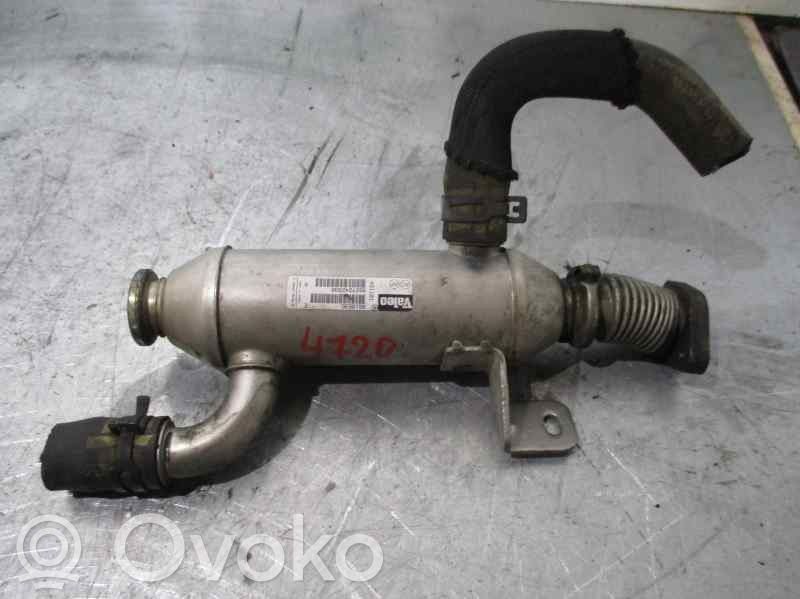Citroen C5 Valvola di raffreddamento EGR 
