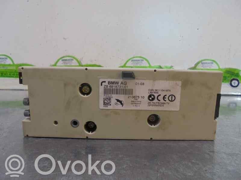 Antena de radio   691873101