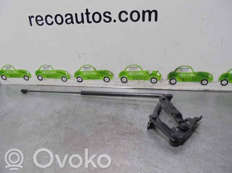 Mercedes-Benz E W211 Cerniere del vano motore/cofano