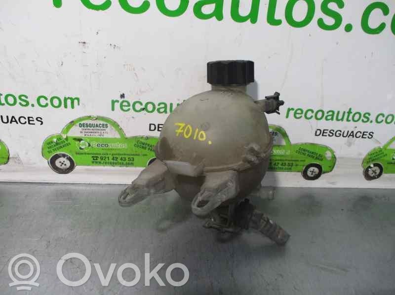 Citroen C3 Vaso di espansione carburante 