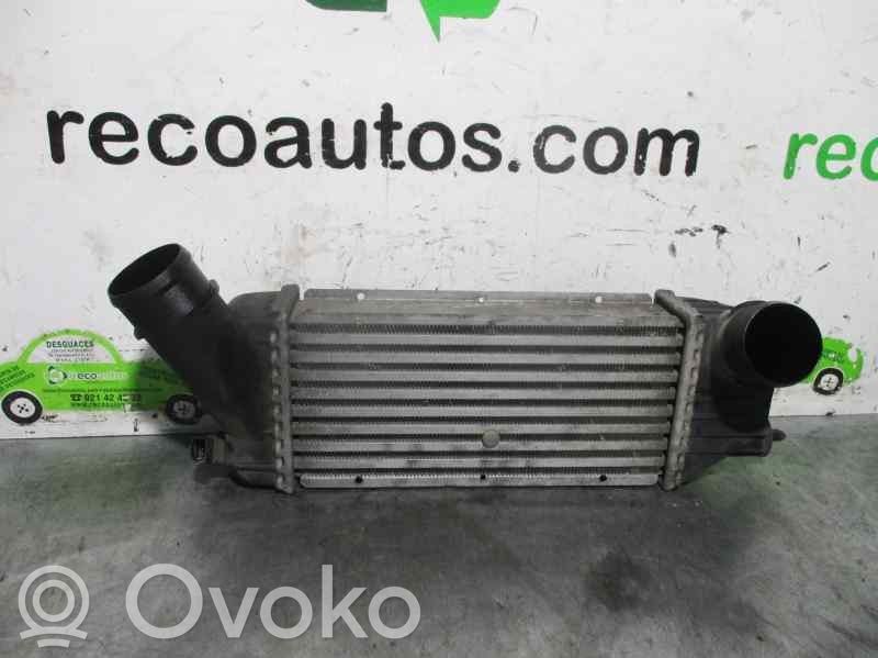 Peugeot 307 Radiator intercooler 