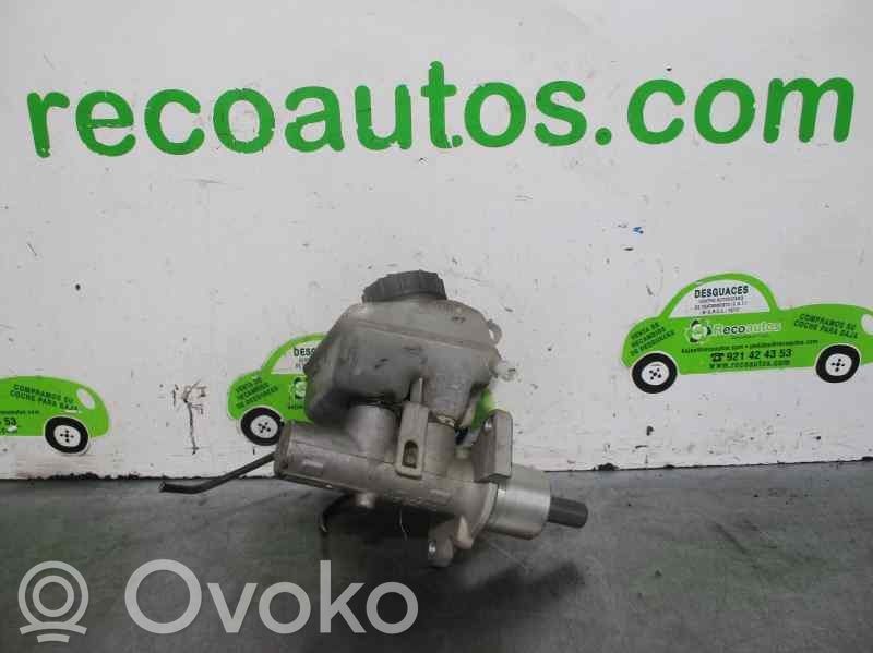 Servofreno   32066734,DELPHILUCAS