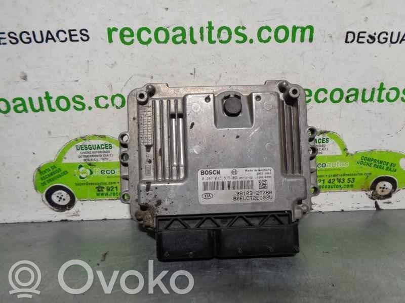 Centralina/modulo del motore   391032A760,0281013875,BOSCH