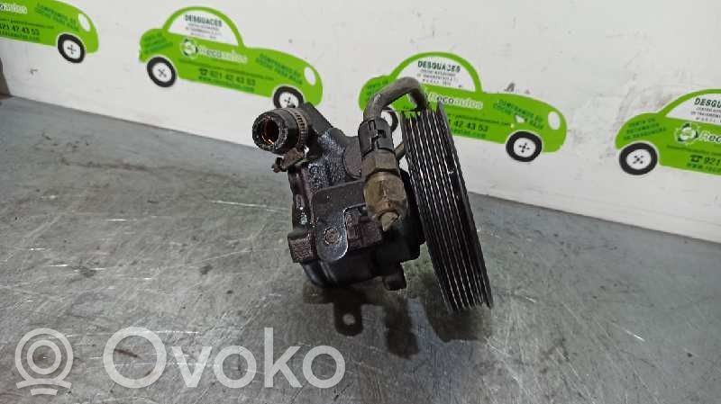 Ford Escort Electric power steering pump 