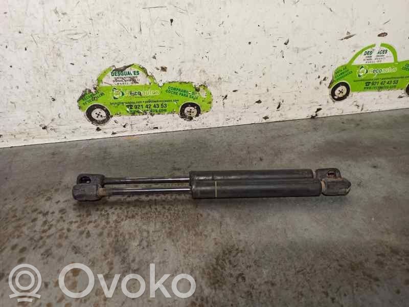 Volkswagen Bora Amortizor hayon 