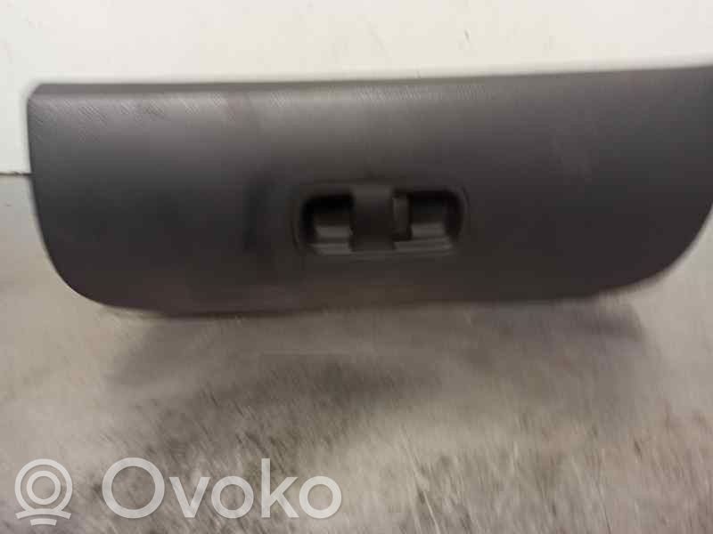 KIA Carnival Guantera 