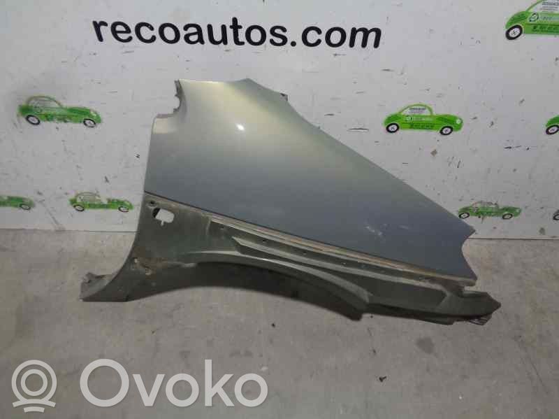 Renault Scenic I Lokasuoja 