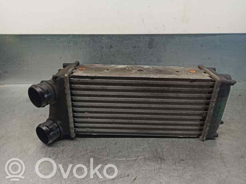 Peugeot 307 Intercooler radiator 