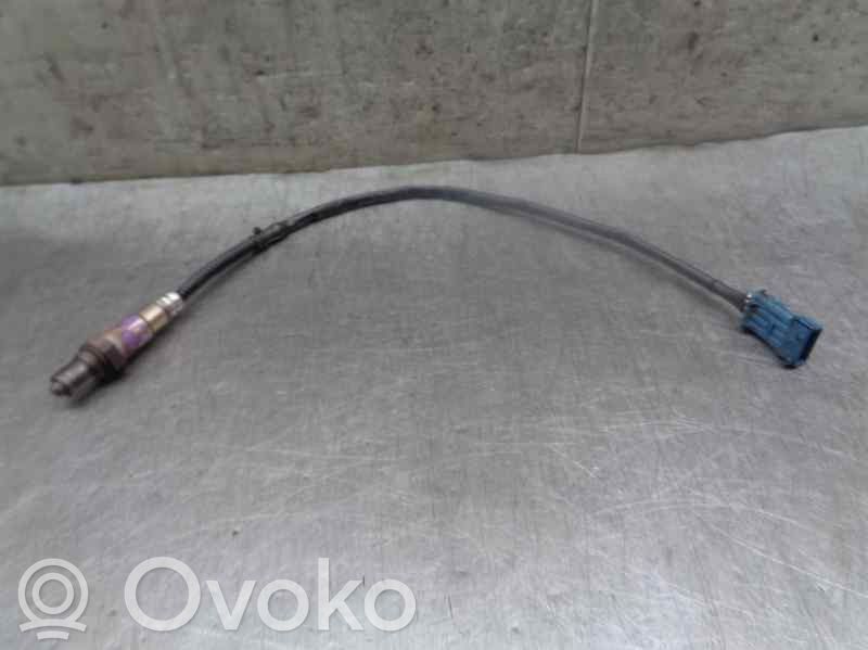 Citroen Xsara Lambda zondas 