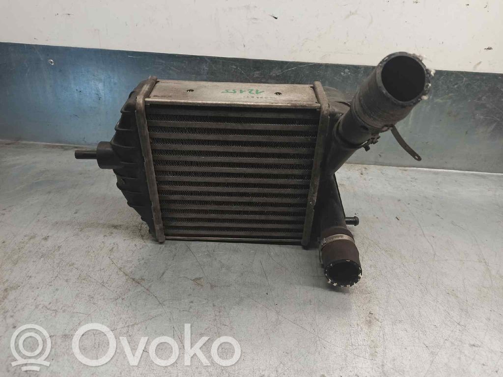 Lancia Musa Interkūlerio radiatorius 