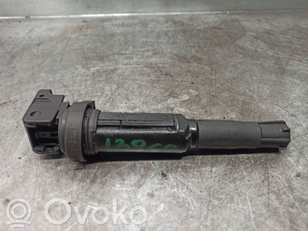 High voltage ignition coil   12138616153