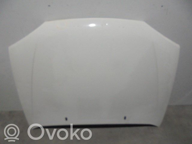 Ford Fiesta Konepelti 