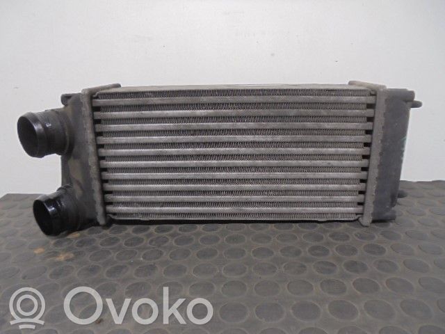 Peugeot 307 Intercooler radiator 