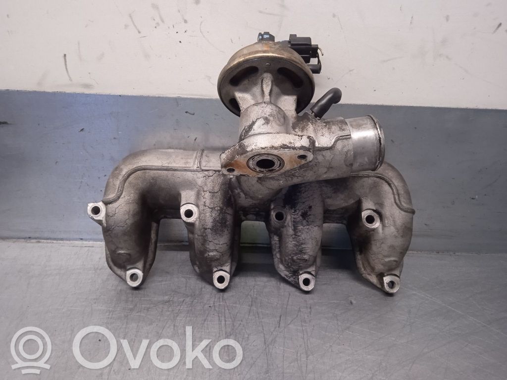 Ford Focus Intake manifold 