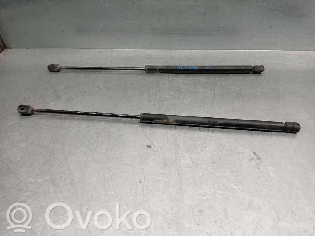Tailgate/trunk strut/damper