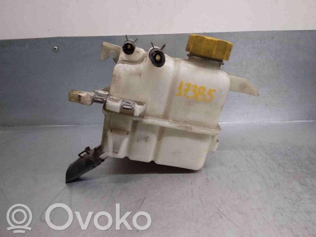 Chevrolet Captiva Kuro išsiplėtimo bakelis
