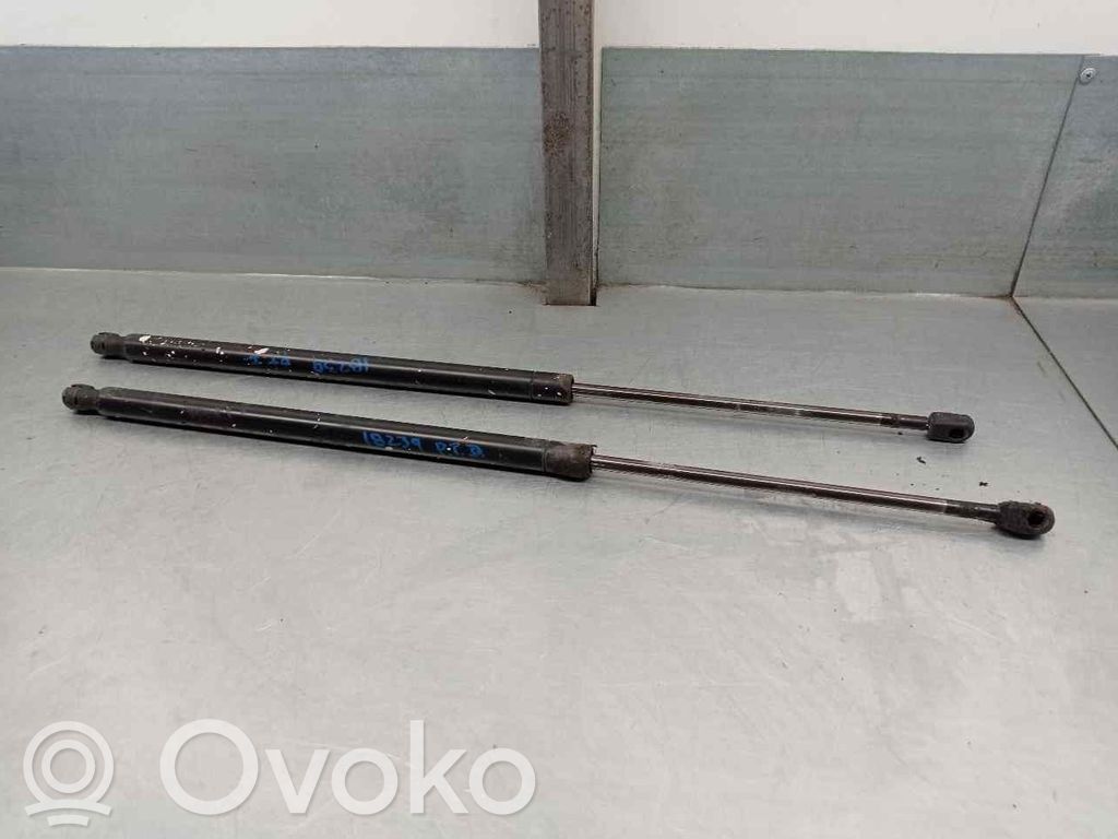 Mercedes-Benz Vito Viano W639 Ammortizzatore portellone posteriore/bagagliaio