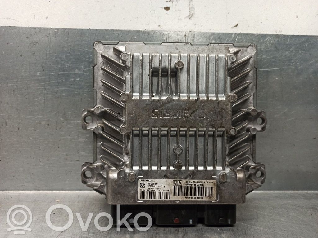 Peugeot 407 Engine control unit/module 