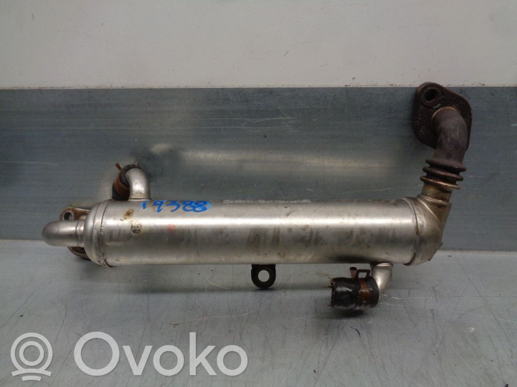 Opel Astra G Chłodnica spalin EGR 