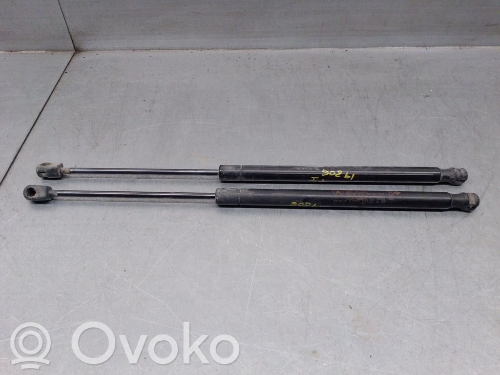 Dodge Caliber Tailgate/trunk strut/damper 