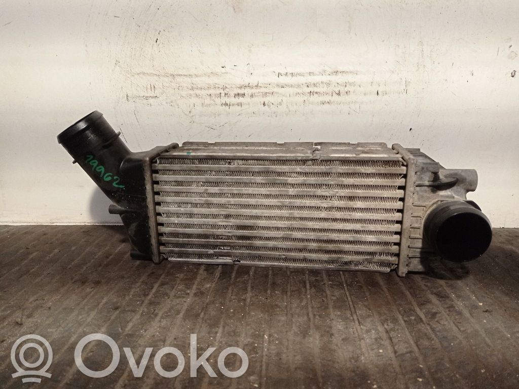 Peugeot 307 Intercooler radiator 
