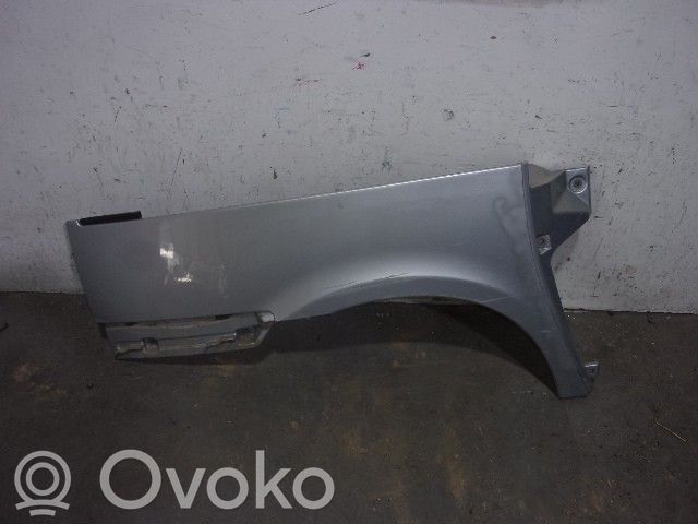 Guardabarro   GRIS