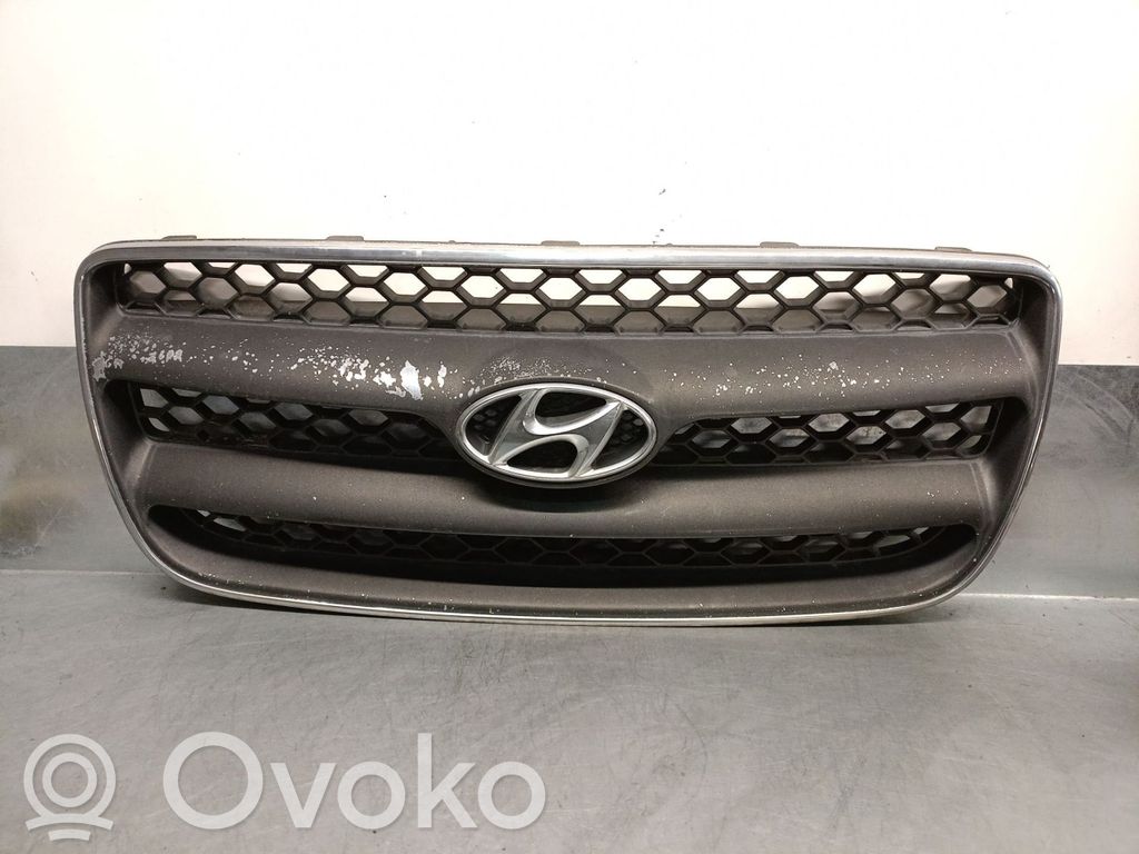 Hyundai Santa Fe Etusäleikkö 