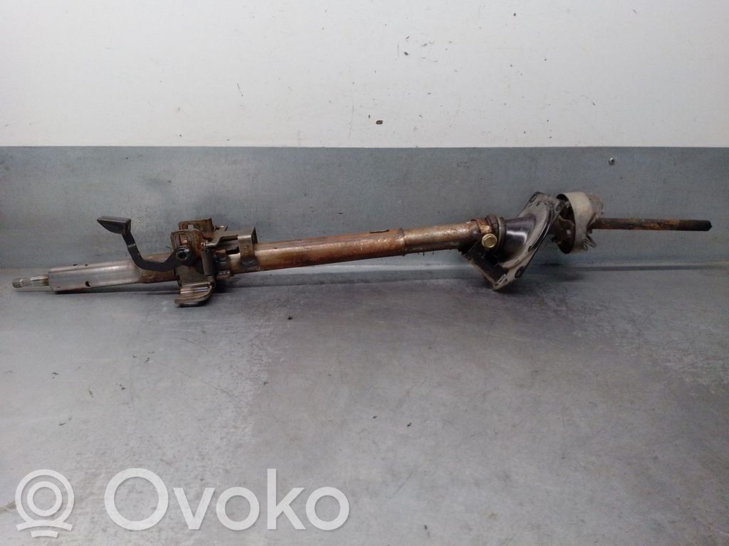 Nissan Terrano Vairo rato ašis 