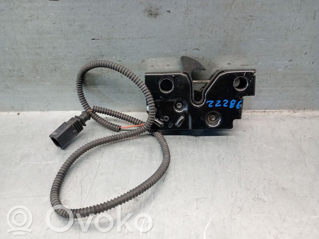 Tie down hook / loop   575823509,575823509