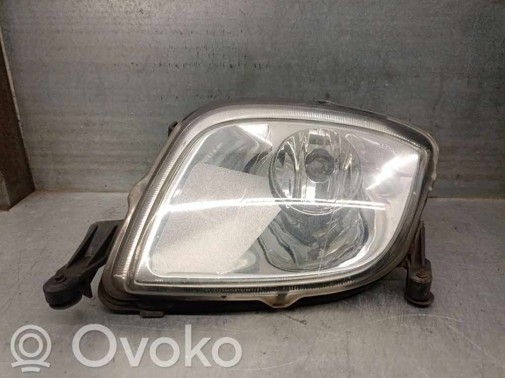 Porsche Cayenne (9PA) Etusumuvalo 