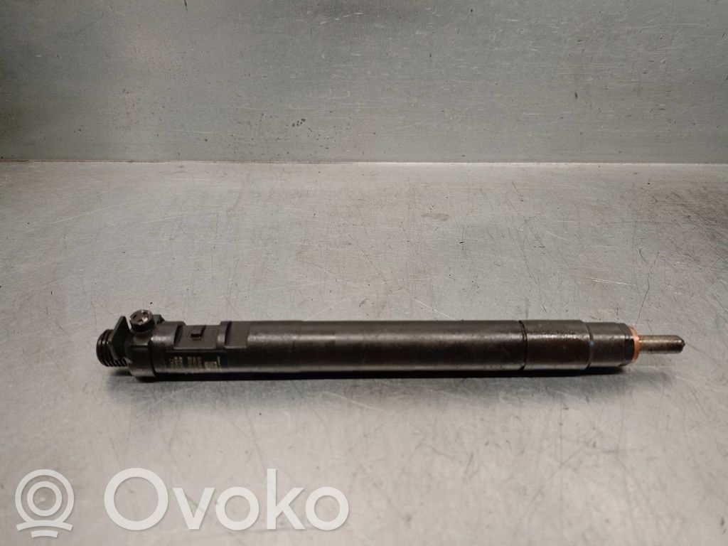 Inyector de combustible   9686191080,EMBR00101D,DELPHI