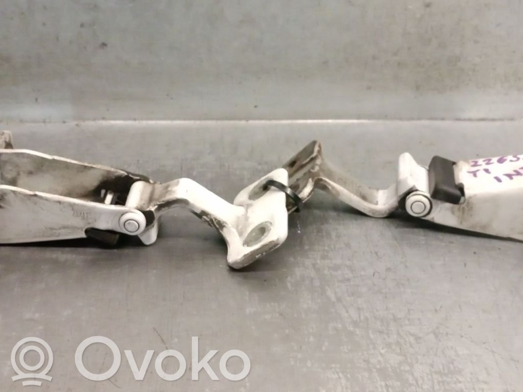Renault Kangoo II Tailgate/trunk/boot hinge 