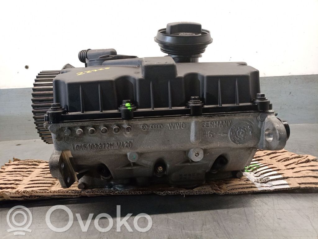 Skoda Fabia Mk1 (6Y) Testata motore 