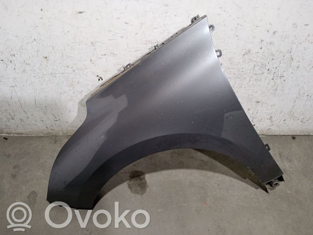 Renault Scenic IV - Grand scenic IV Błotnik przedni 