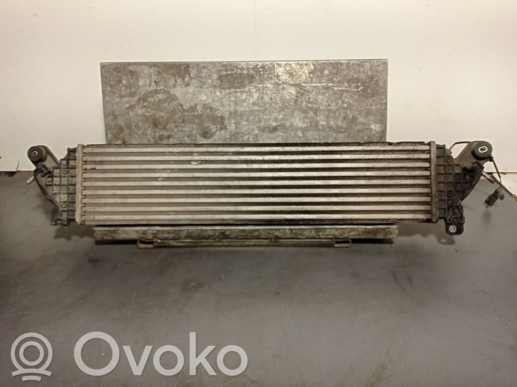 Interkūlerio radiatorius   SH0113565B,1271004113