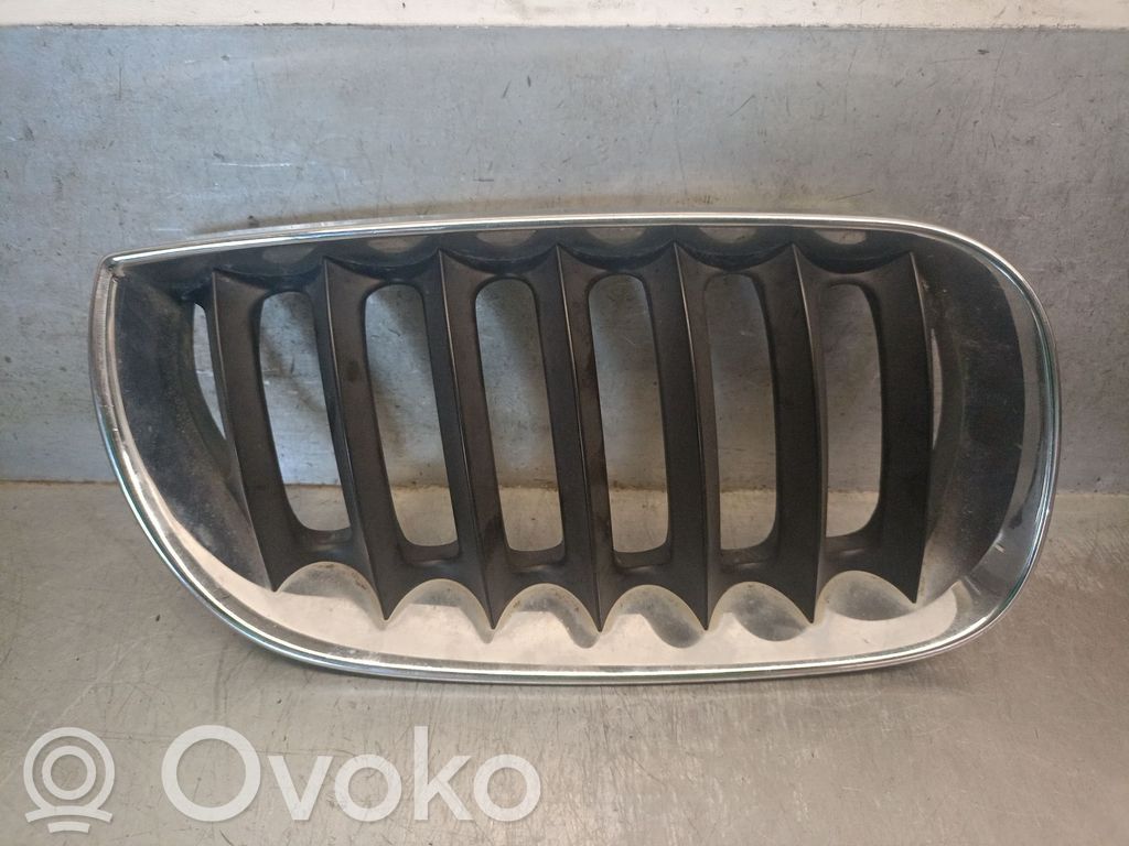 BMW X3 E83 Front grill 