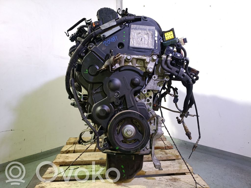 Motor   9H06,0135SW,10JBFM