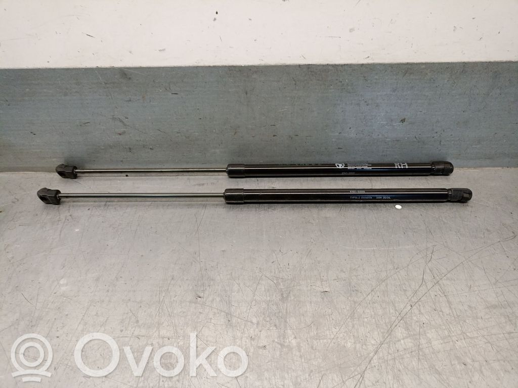 Amortyzator klapy tylnej bagażnika   81831CO000,81841CO000