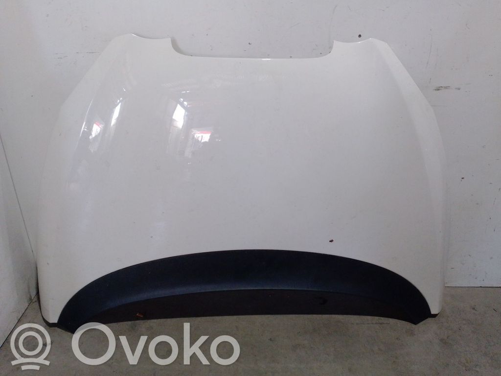 Seat Altea Motorhaube