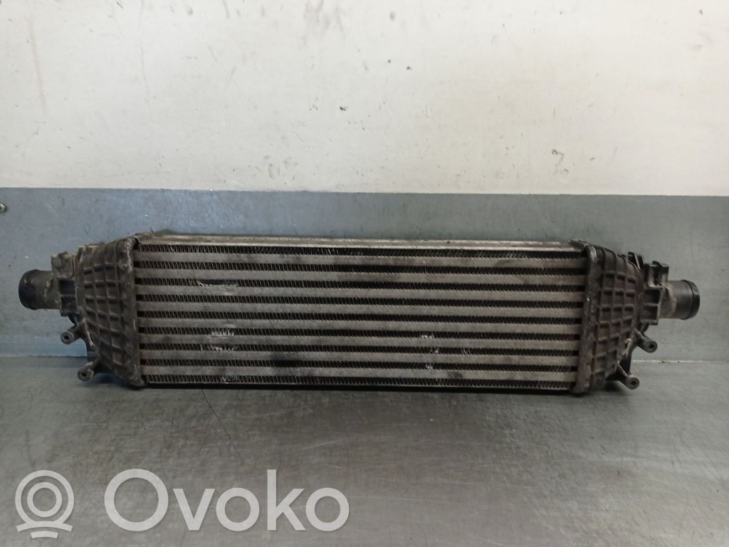 Ford Fiesta Interkūlerio radiatorius 