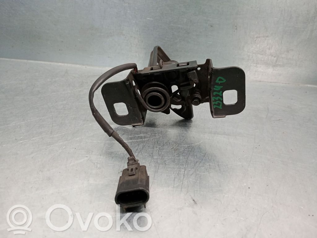 Tie down hook / loop   42354435,1178101