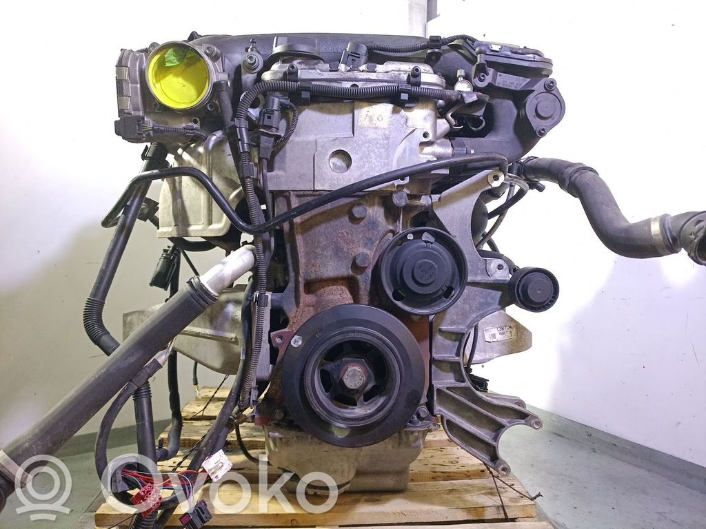 Variklis   BFD,95510001100,61616451