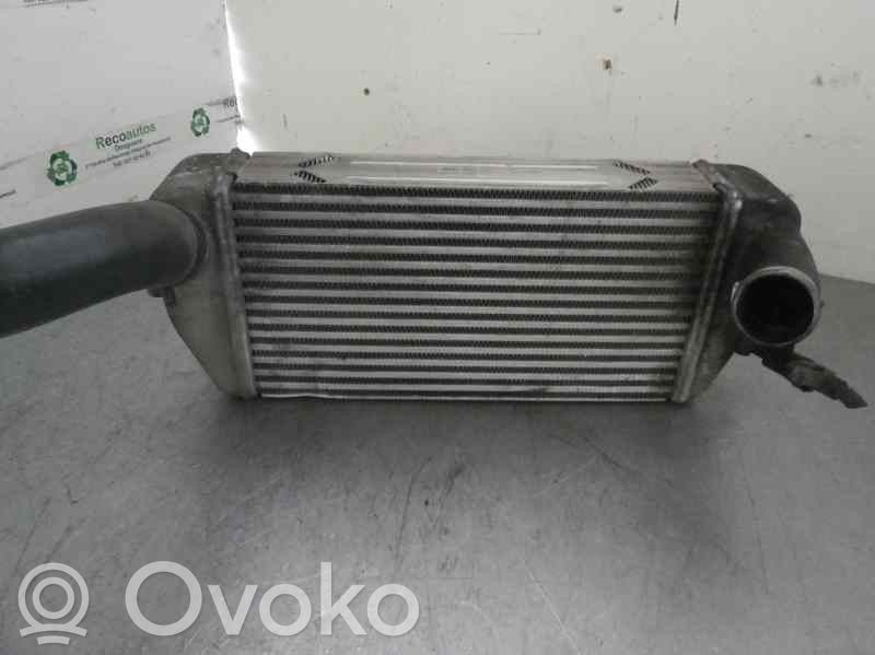 KIA Carnival Interkūlerio radiatorius 